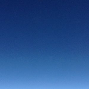 Meet your Posher, Lily